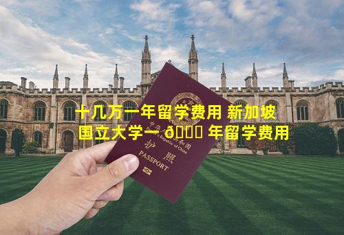 十几万一年留学费用 新加坡国立大学一 🕊 年留学费用